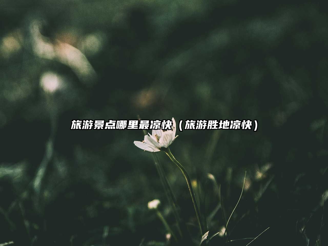 旅游景點哪里最涼快（旅游勝地涼快）