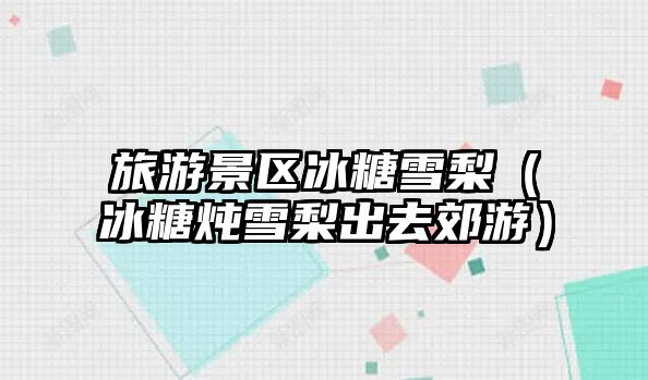 旅游景區冰糖雪梨（冰糖燉雪梨出去郊游）