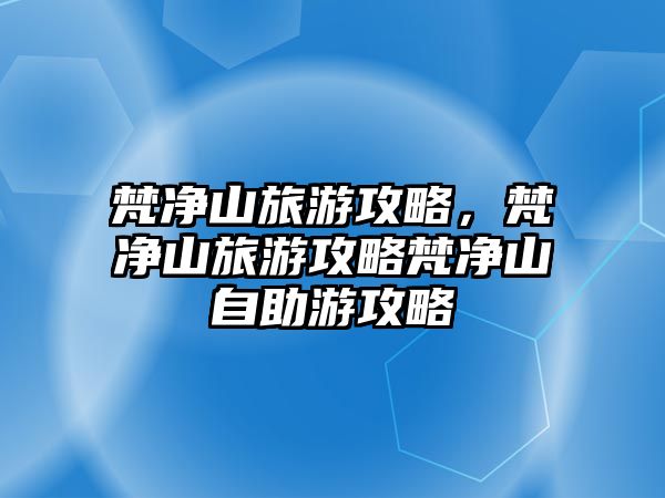 梵凈山旅游攻略，梵凈山旅游攻略梵凈山自助游攻略