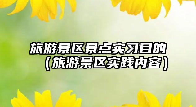 旅游景區景點實習目的（旅游景區實踐內容）