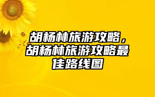 胡楊林旅游攻略，胡楊林旅游攻略最佳路線圖