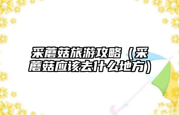 采蘑菇旅游攻略（采蘑菇應該去什么地方）