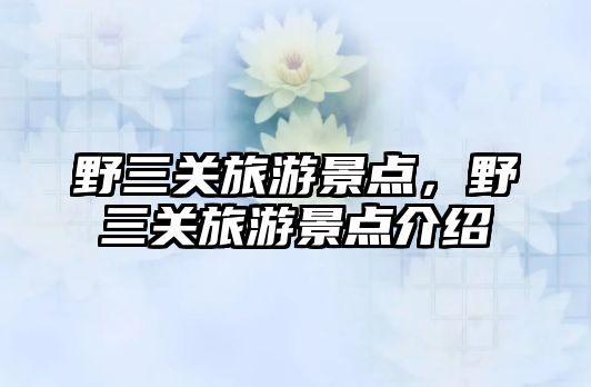 野三關(guān)旅游景點(diǎn)，野三關(guān)旅游景點(diǎn)介紹