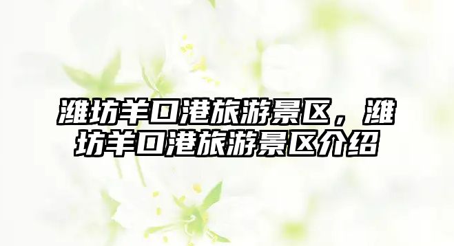 濰坊羊口港旅游景區，濰坊羊口港旅游景區介紹