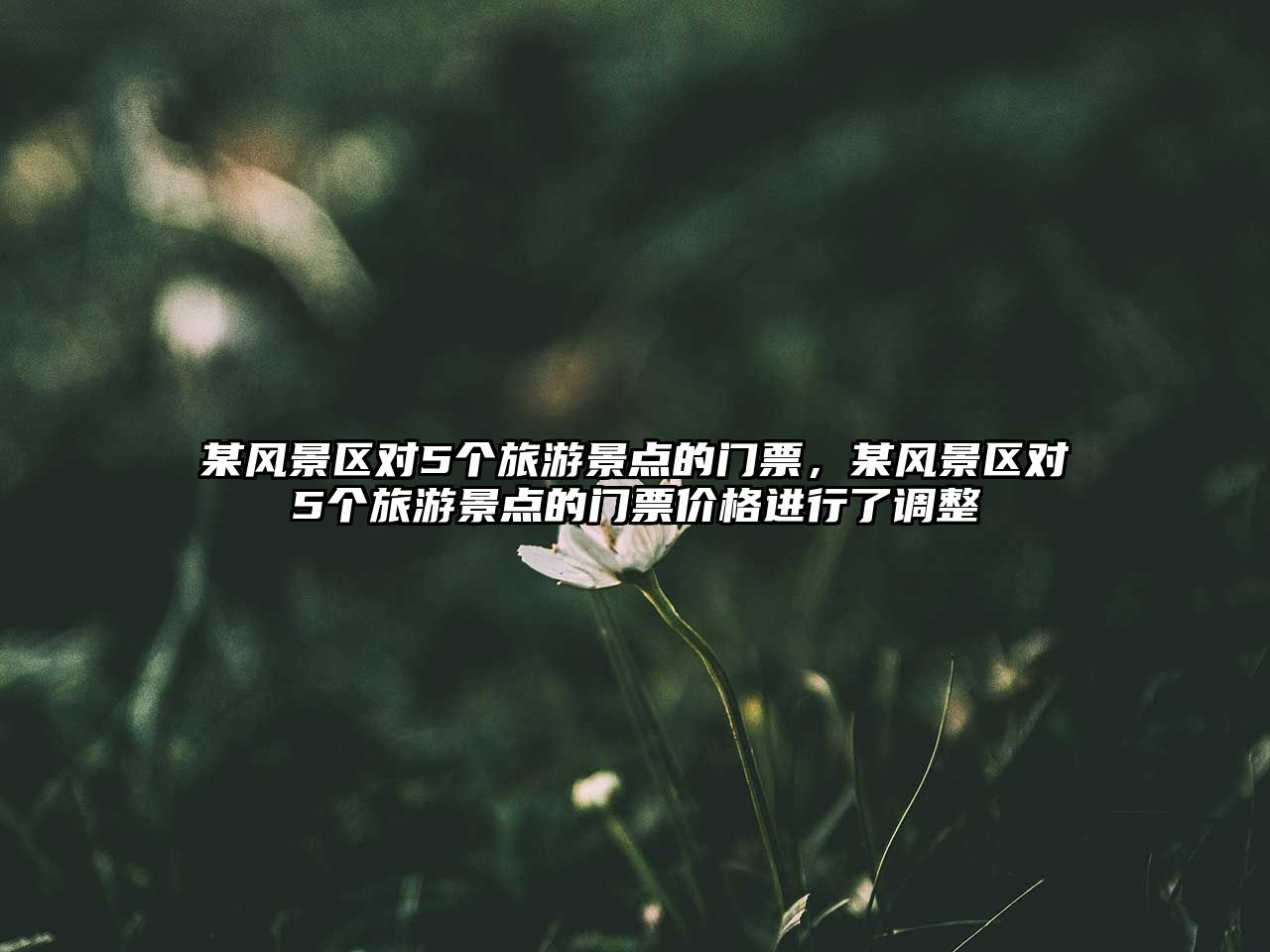 某風景區對5個旅游景點的門票，某風景區對5個旅游景點的門票價格進行了調整