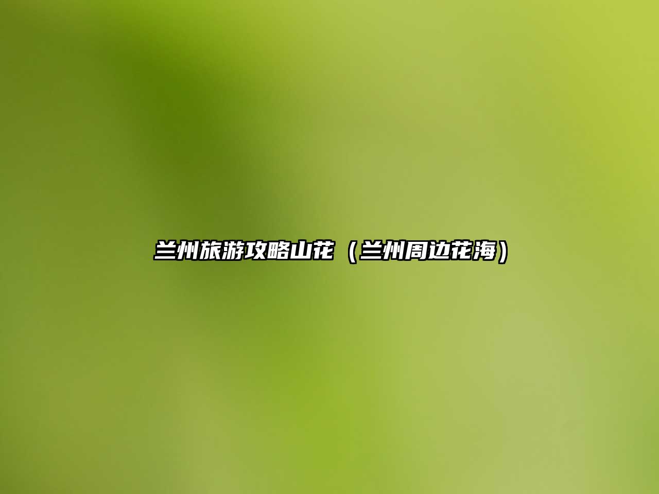 蘭州旅游攻略山花（蘭州周邊花海）