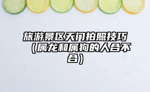 旅游景區天門拍照技巧（屬龍和屬狗的人合不合）