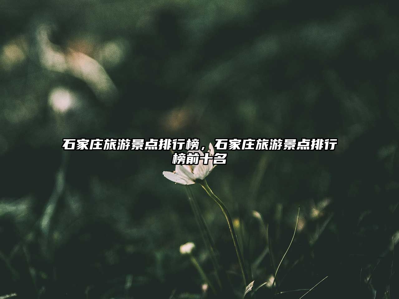 石家莊旅游景點排行榜，石家莊旅游景點排行榜前十名