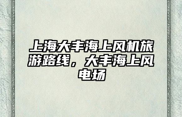 上海大豐海上風機旅游路線，大豐海上風電場