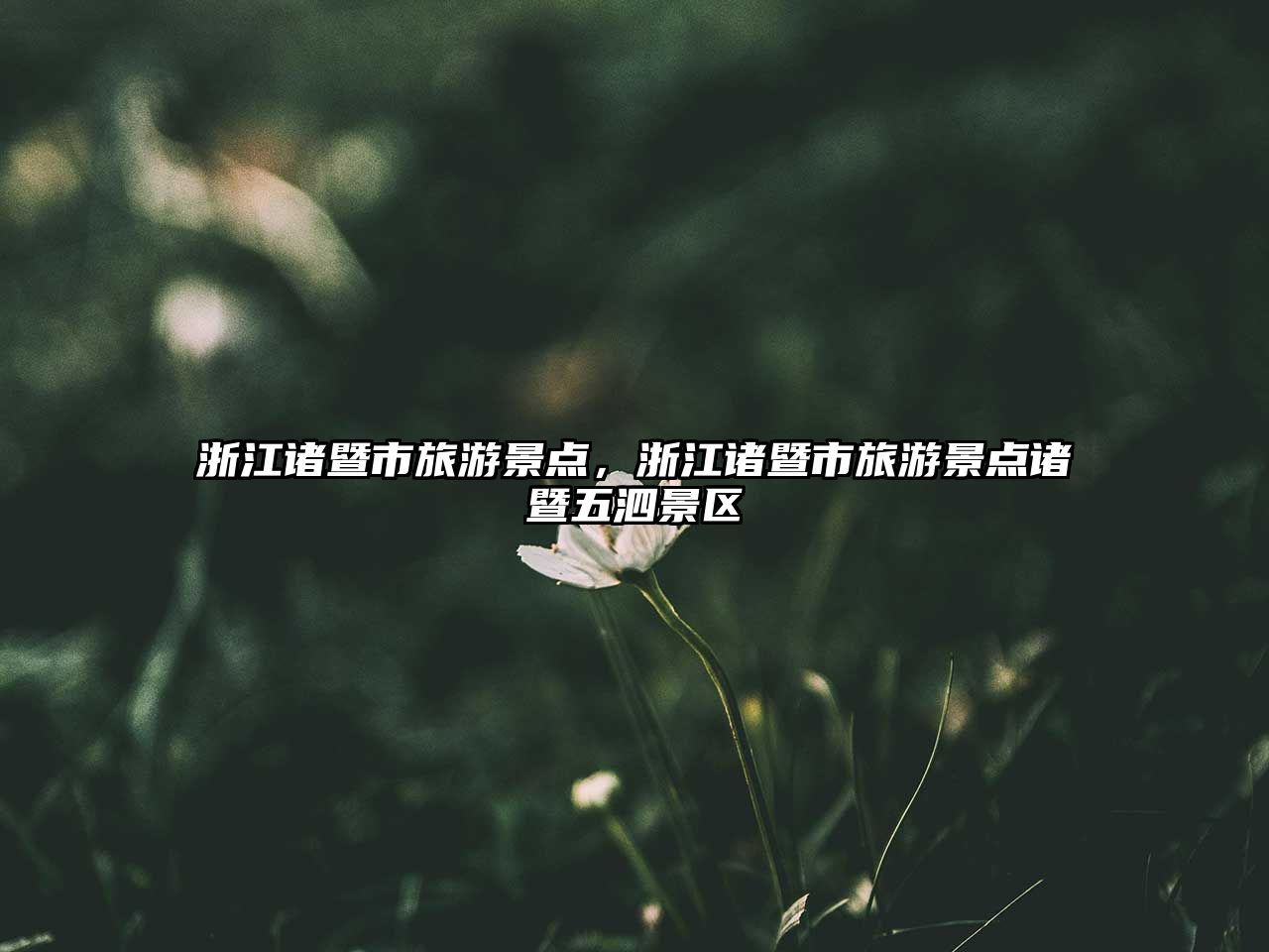 浙江諸暨市旅游景點，浙江諸暨市旅游景點諸暨五泗景區
