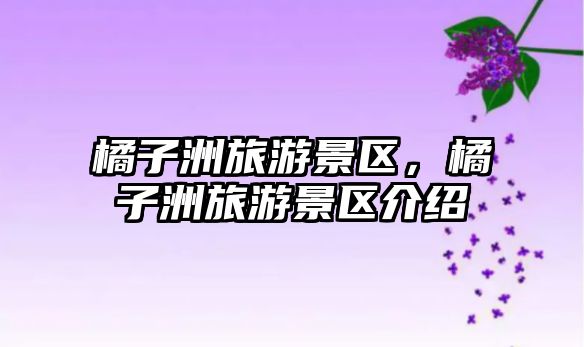 橘子洲旅游景區，橘子洲旅游景區介紹