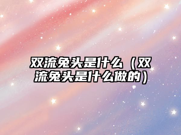 雙流兔頭是什么（雙流兔頭是什么做的）