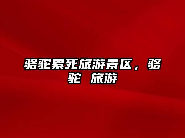 駱駝累死旅游景區(qū)，駱駝 旅游
