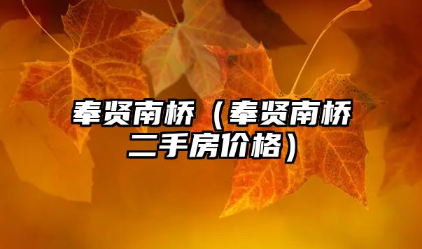 奉賢南橋（奉賢南橋二手房價格）
