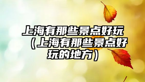 上海有那些景點(diǎn)好玩（上海有那些景點(diǎn)好玩的地方）