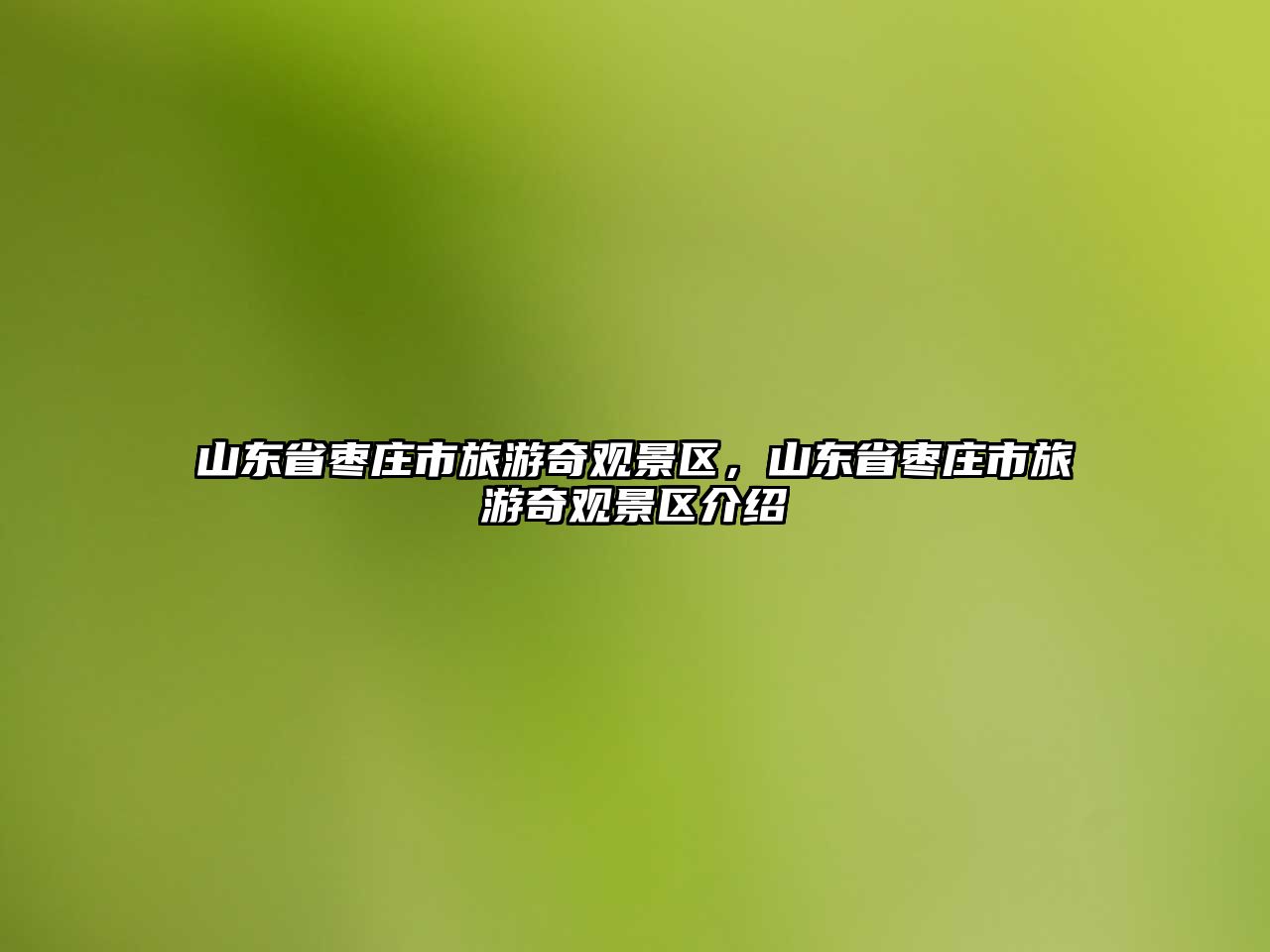 山東省棗莊市旅游奇觀景區(qū)，山東省棗莊市旅游奇觀景區(qū)介紹