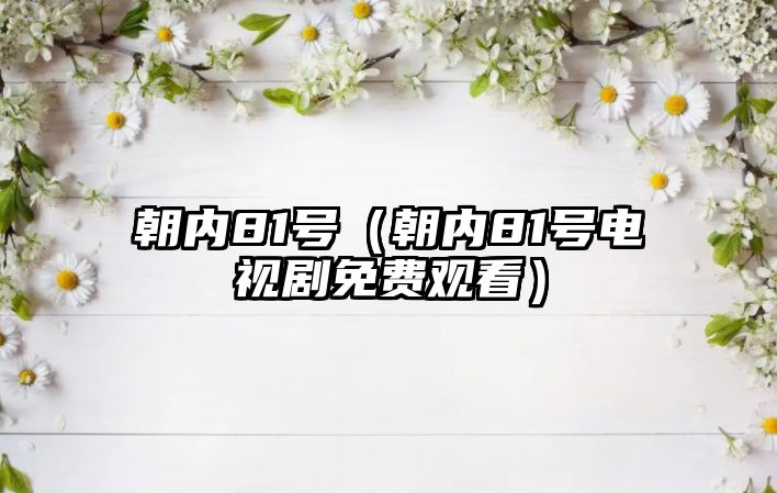朝內81號（朝內81號電視劇免費觀看）