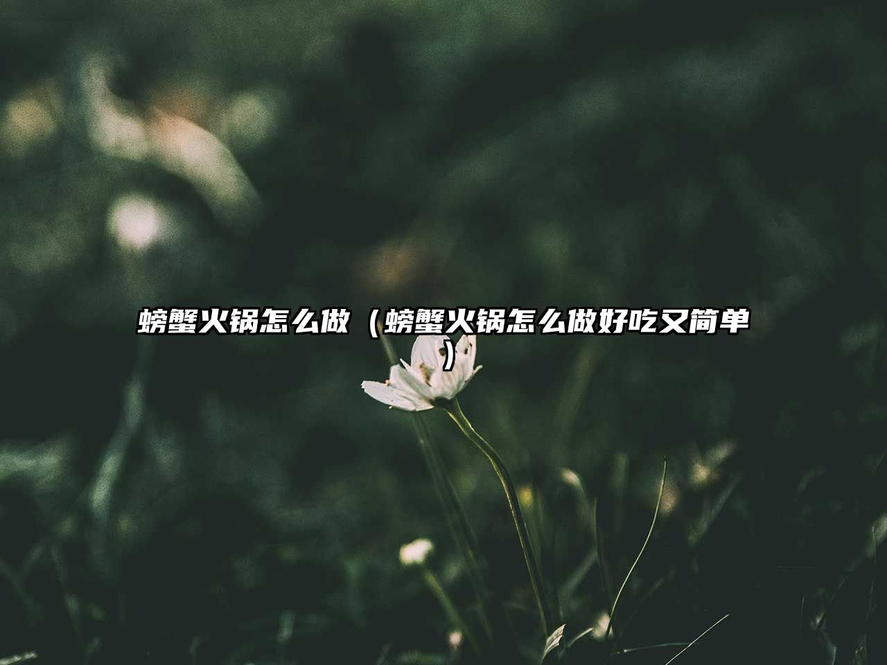 螃蟹火鍋怎么做（螃蟹火鍋怎么做好吃又簡單）