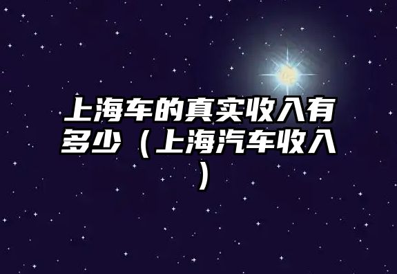 上海車的真實收入有多少（上海汽車收入）