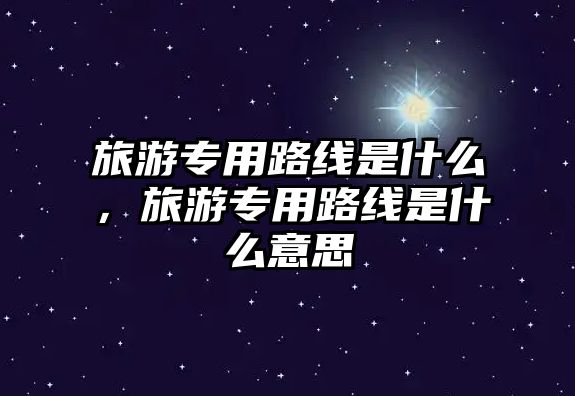 旅游專用路線是什么，旅游專用路線是什么意思