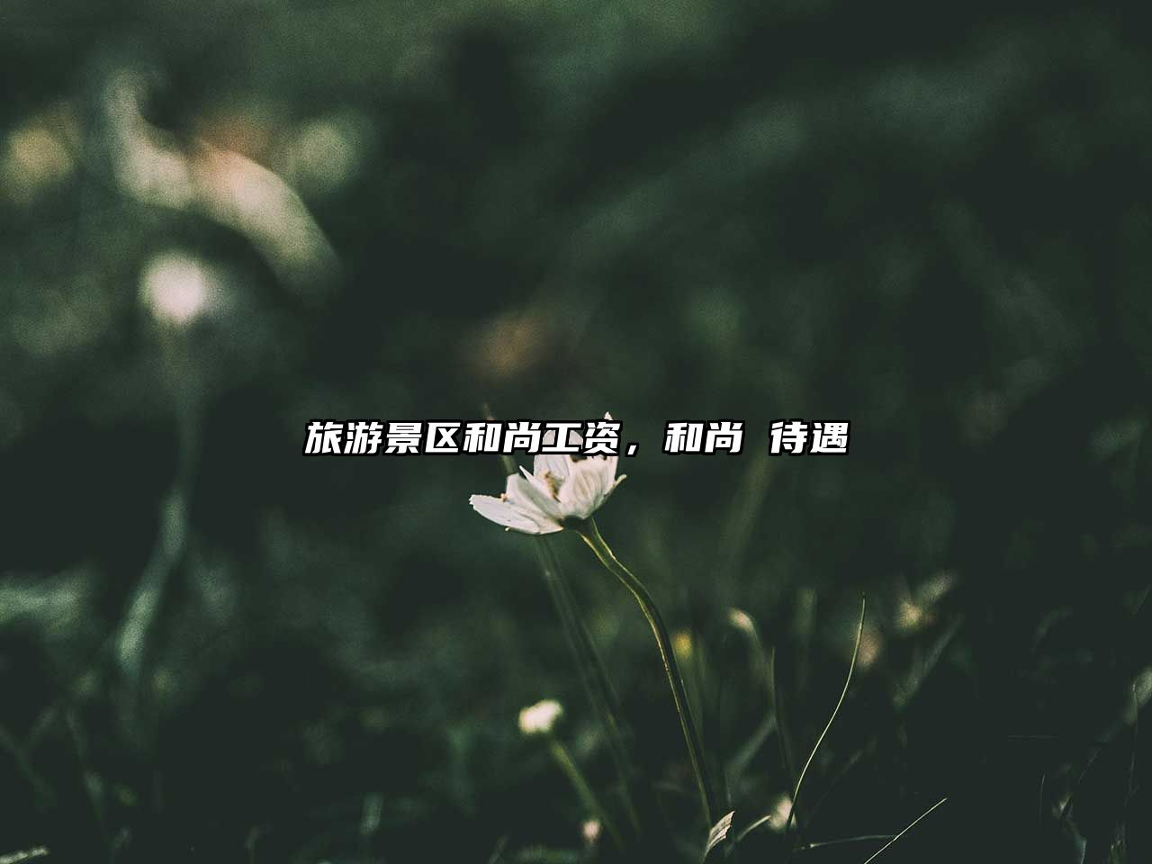 旅游景區和尚工資，和尚 待遇