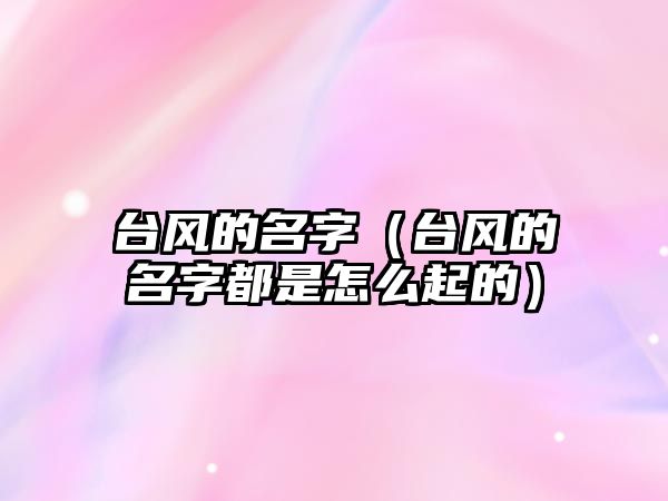臺風的名字（臺風的名字都是怎么起的）