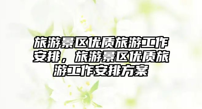 旅游景區優質旅游工作安排，旅游景區優質旅游工作安排方案