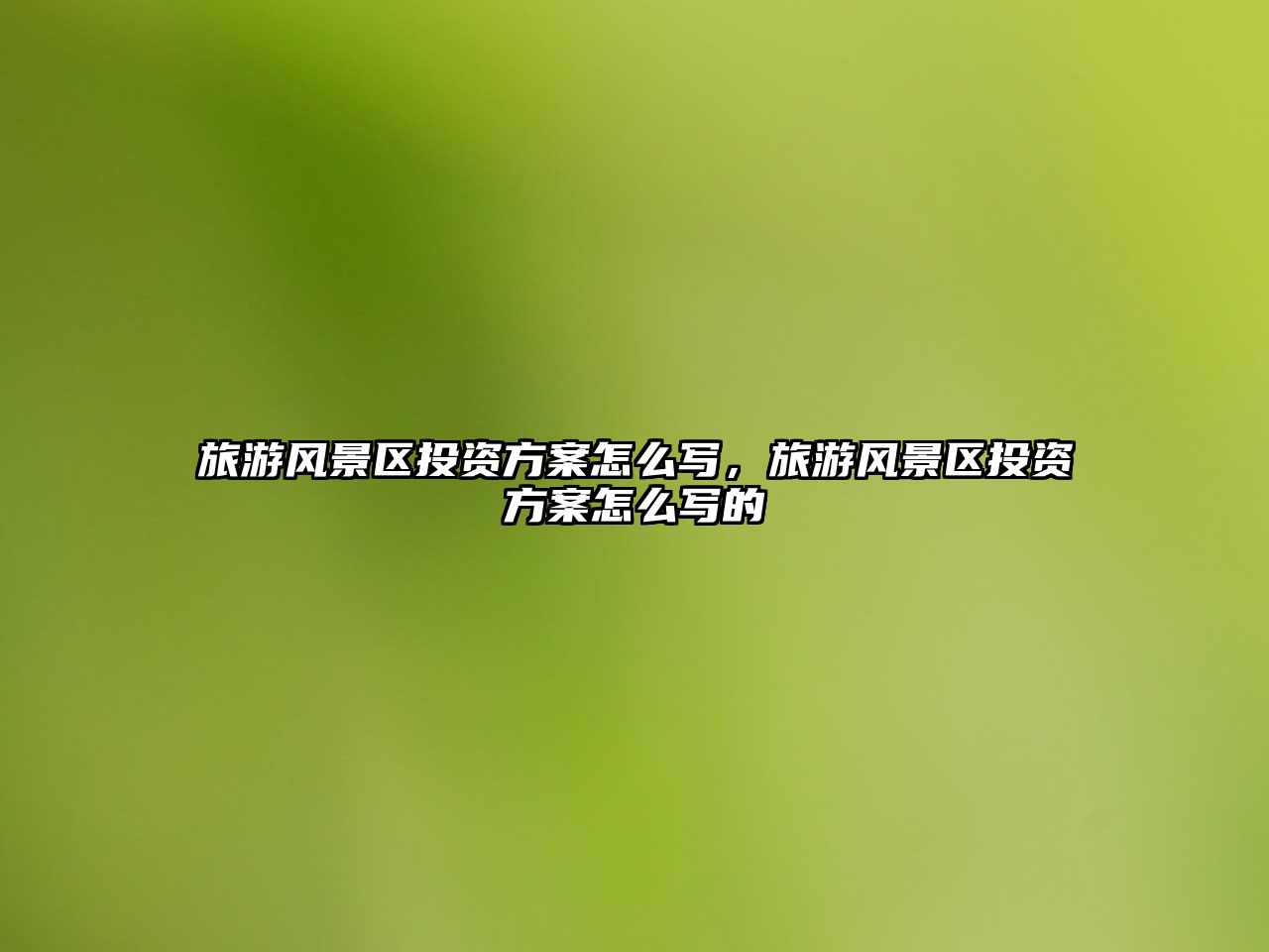 旅游風景區投資方案怎么寫，旅游風景區投資方案怎么寫的
