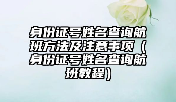 身份證號(hào)姓名查詢航班方法及注意事項(xiàng)（身份證號(hào)姓名查詢航班教程）