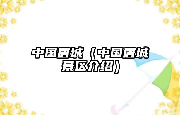 中國唐城（中國唐城景區介紹）