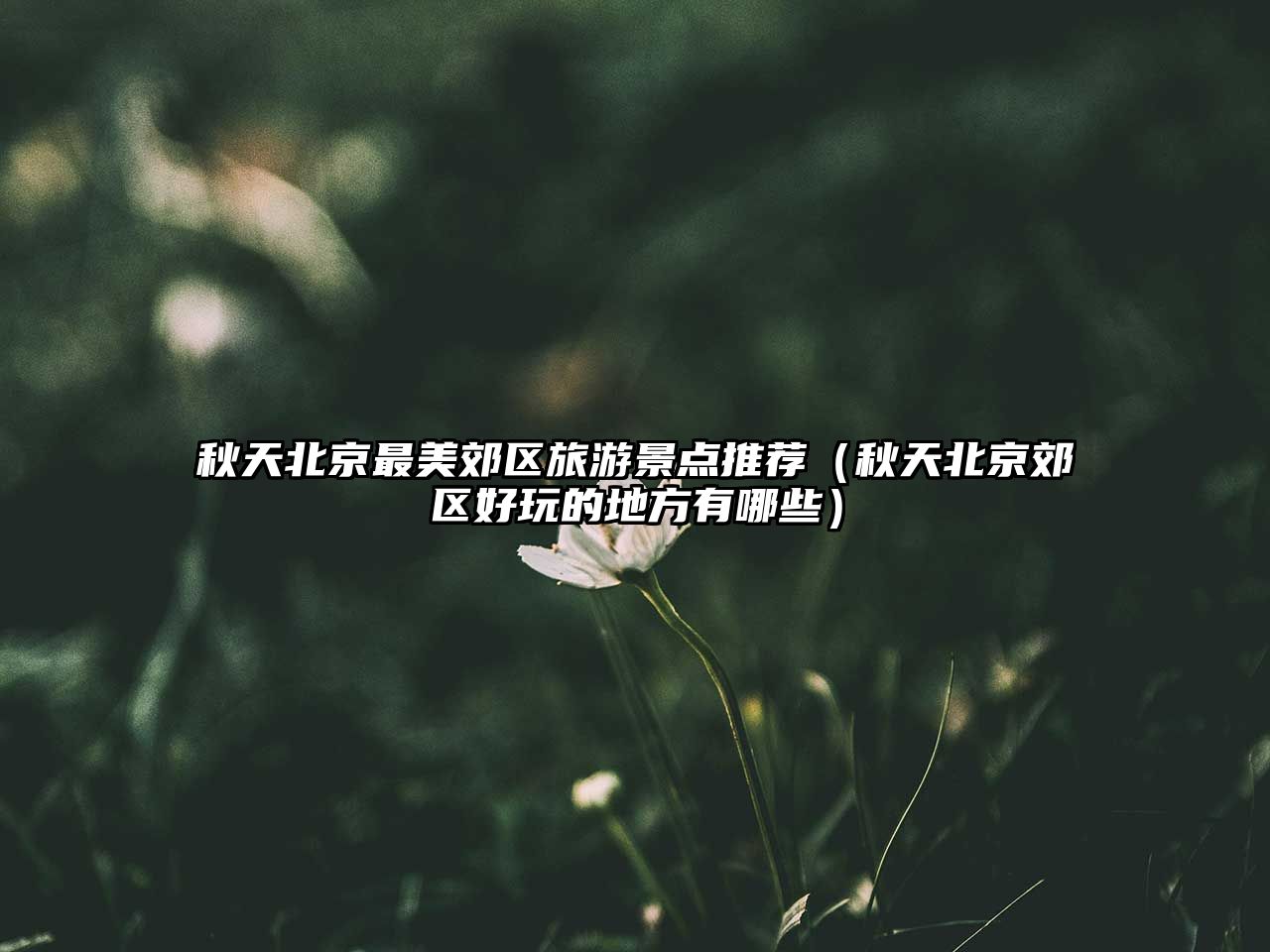 秋天北京最美郊區旅游景點推薦（秋天北京郊區好玩的地方有哪些）
