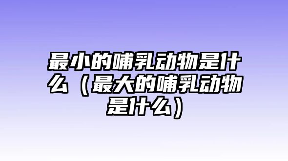 最小的哺乳動物是什么（最大的哺乳動物是什么）