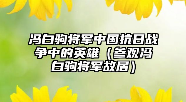 馮白駒將軍中國抗日戰(zhàn)爭中的英雄（參觀馮白駒將軍故居）