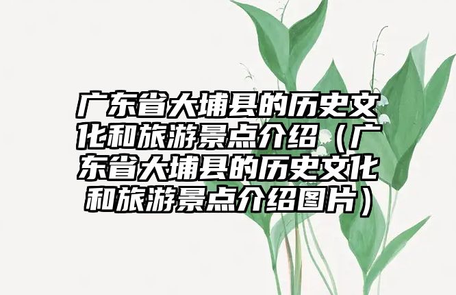 廣東省大埔縣的歷史文化和旅游景點介紹（廣東省大埔縣的歷史文化和旅游景點介紹圖片）