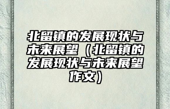 北留鎮的發展現狀與未來展望（北留鎮的發展現狀與未來展望作文）