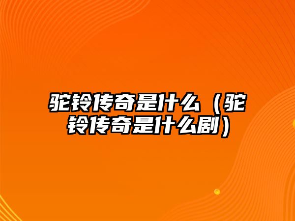 駝鈴傳奇是什么（駝鈴傳奇是什么劇）