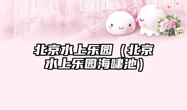 北京水上樂園（北京水上樂園海嘯池）
