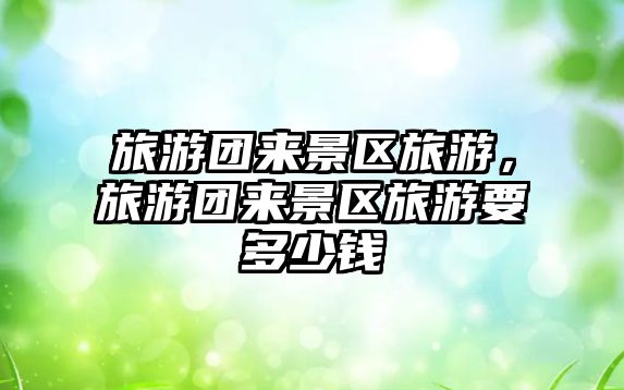 旅游團來景區旅游，旅游團來景區旅游要多少錢