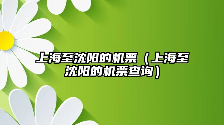 上海至沈陽的機(jī)票（上海至沈陽的機(jī)票查詢）