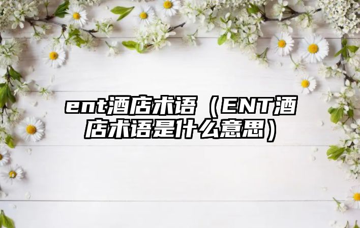 ent酒店術(shù)語(yǔ)（ENT酒店術(shù)語(yǔ)是什么意思）