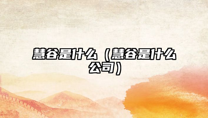 慧谷是什么（慧谷是什么公司）