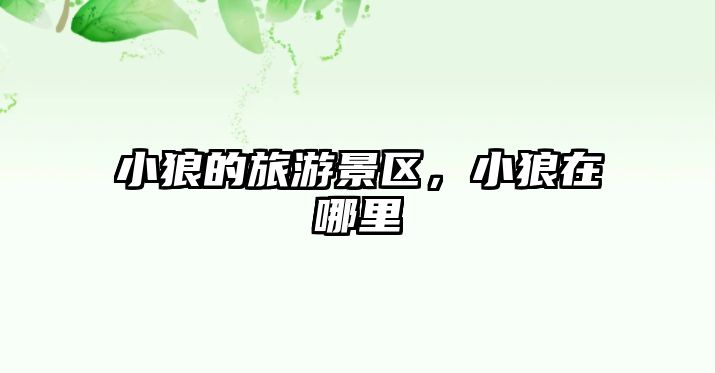 小狼的旅游景區，小狼在哪里