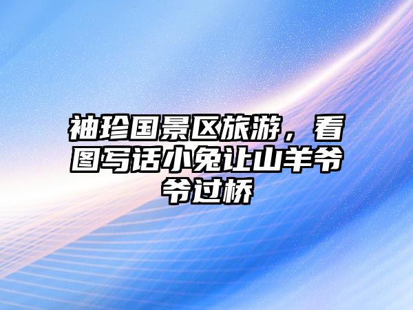袖珍國景區旅游，看圖寫話小兔讓山羊爺爺過橋