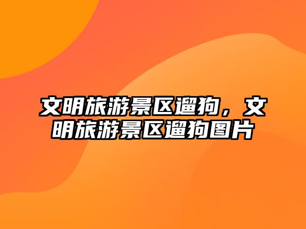 文明旅游景區遛狗，文明旅游景區遛狗圖片
