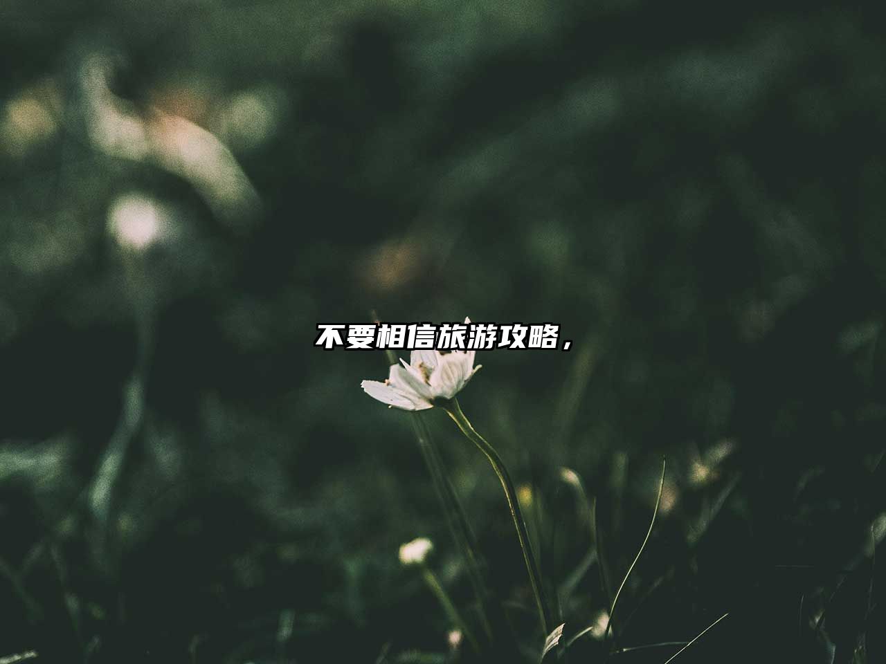 不要相信旅游攻略，