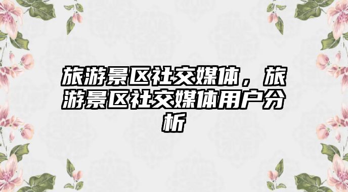 旅游景區社交媒體，旅游景區社交媒體用戶分析
