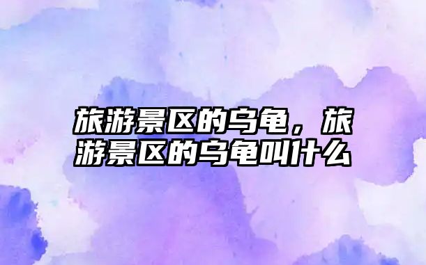 旅游景區的烏龜，旅游景區的烏龜叫什么
