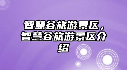 智慧谷旅游景區，智慧谷旅游景區介紹