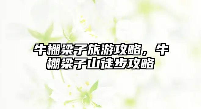 牛棚梁子旅游攻略，牛棚梁子山徒步攻略