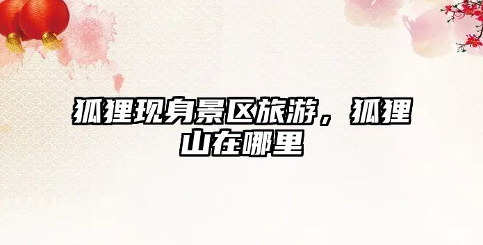 狐貍現身景區旅游，狐貍山在哪里